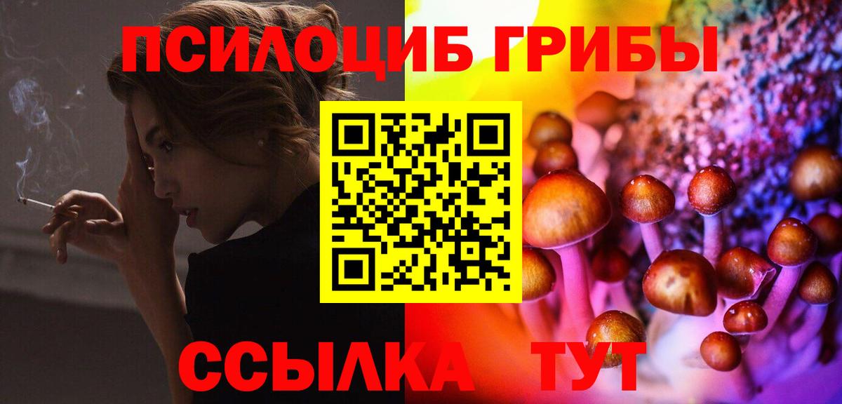 Галлюциногенные грибы Psilocybine cubensis Протвино
